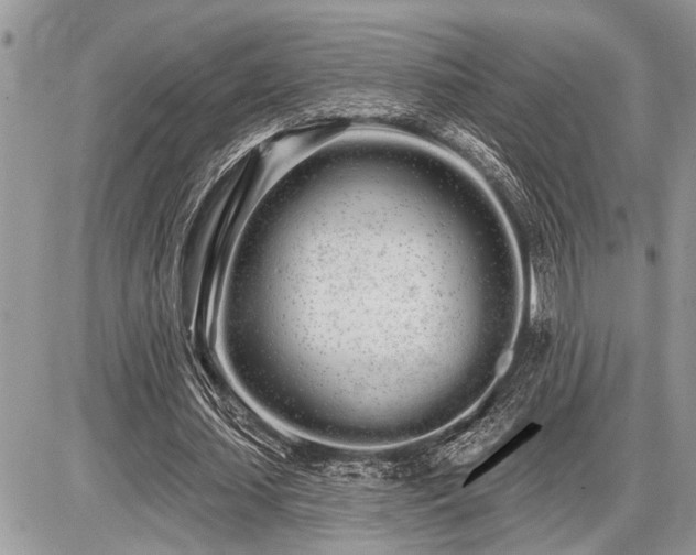 X0000086780627200704131215