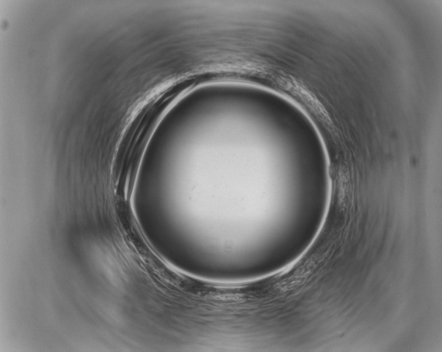 X0000086780628200704131215