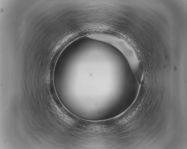 X0000086780629200704131215