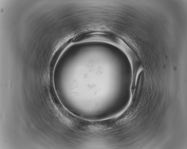 X0000086780630200704131215