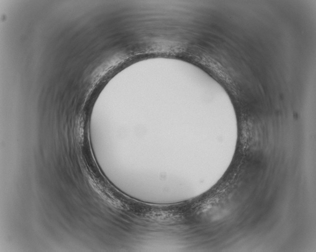 X0000086780632200704131215