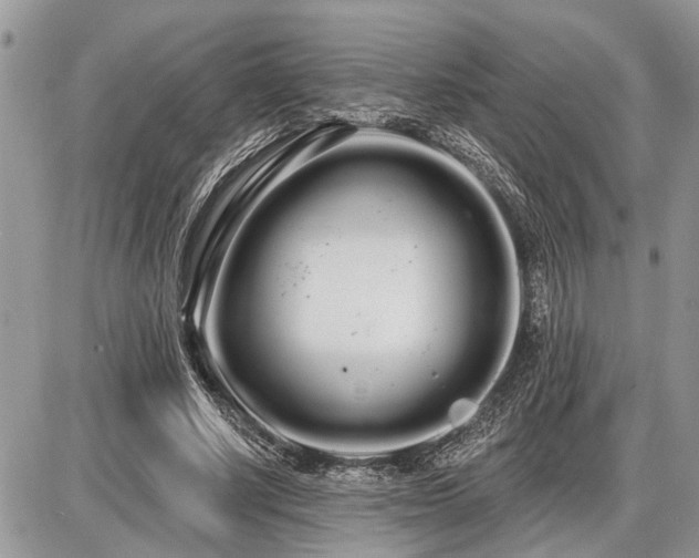 X0000086780634200704131215