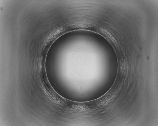 X0000086780635200704131215