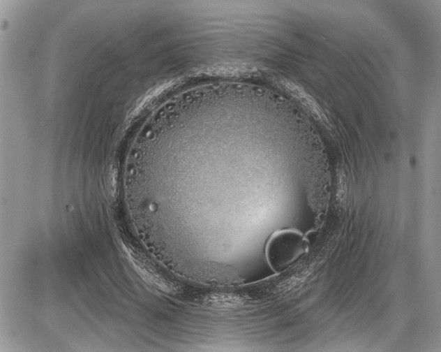 X0000086780636200704131215