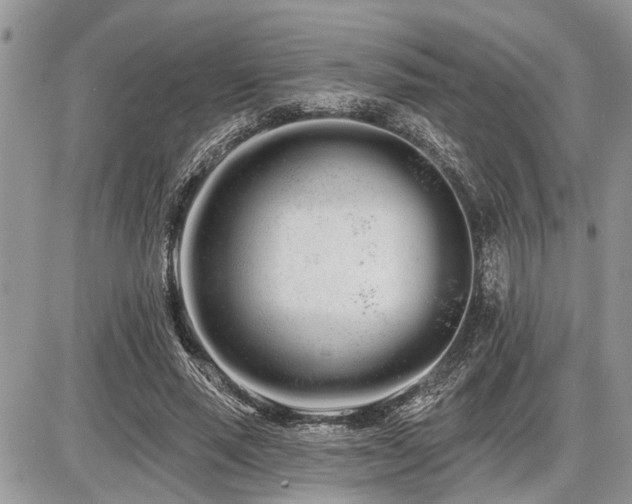 X0000086780637200704131215