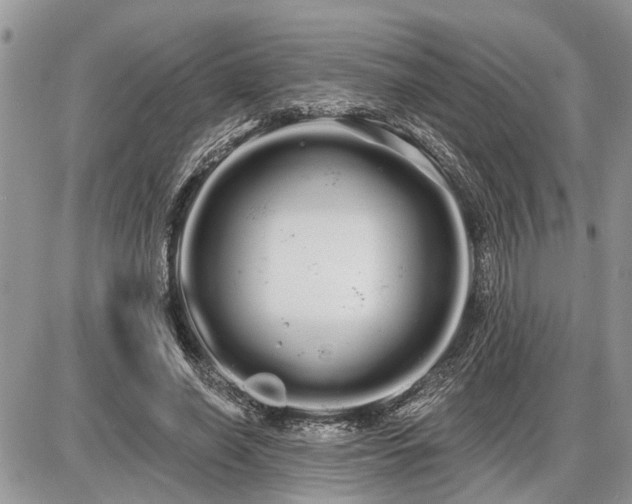 X0000086780638200704131215