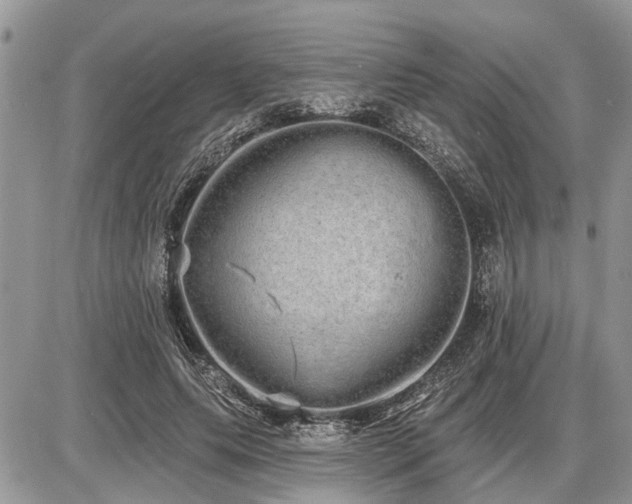 X0000086780639200704131215