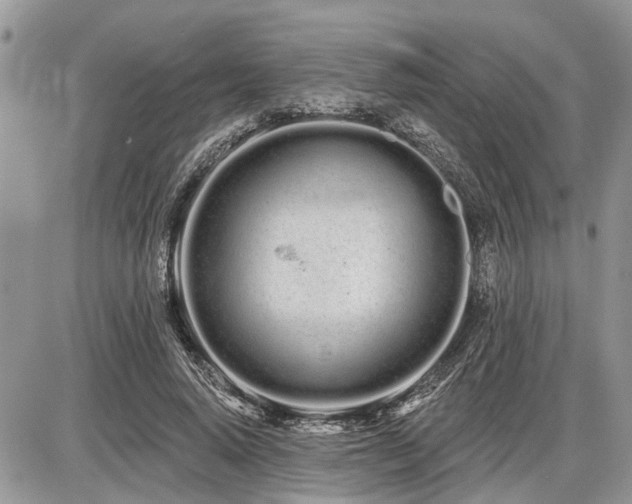 X0000086780640200704131215