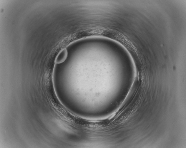 X0000086780641200704131215