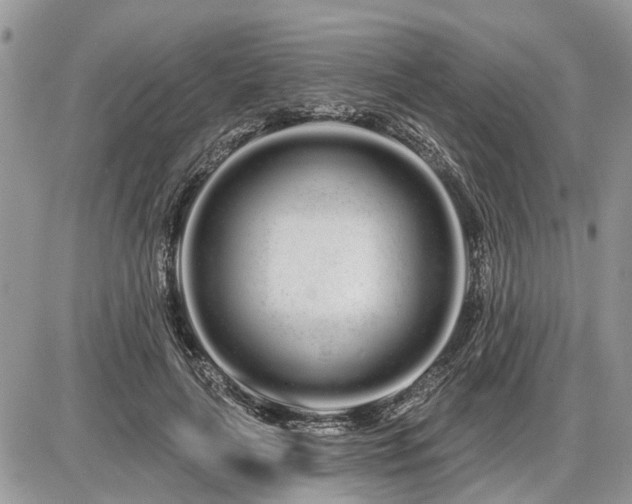 X0000086780643200704131215