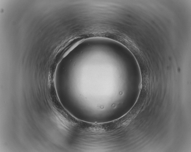 X0000086780644200704131215