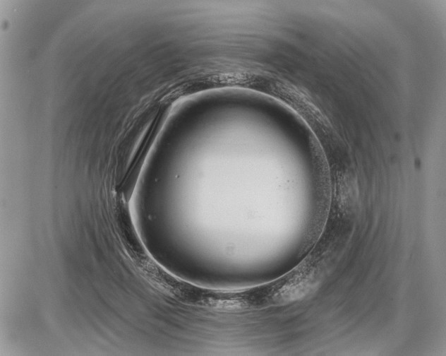 X0000086780645200704131215