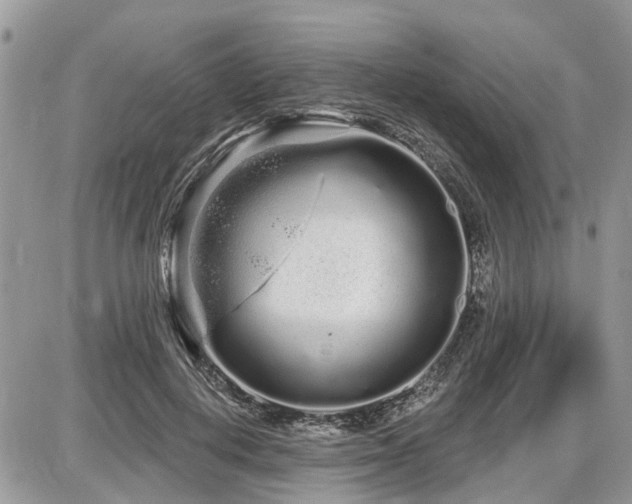 X0000086780648200704131215