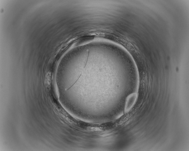 X0000086780649200704131215