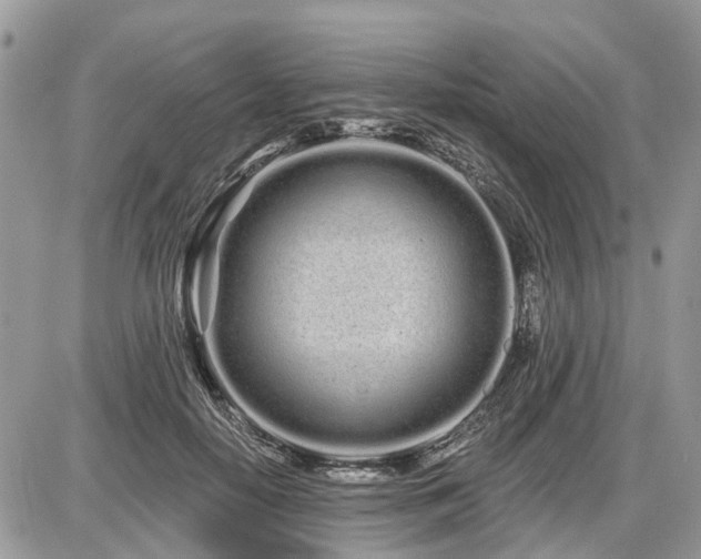 X0000086780650200704131215