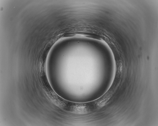 X0000086780651200704131215