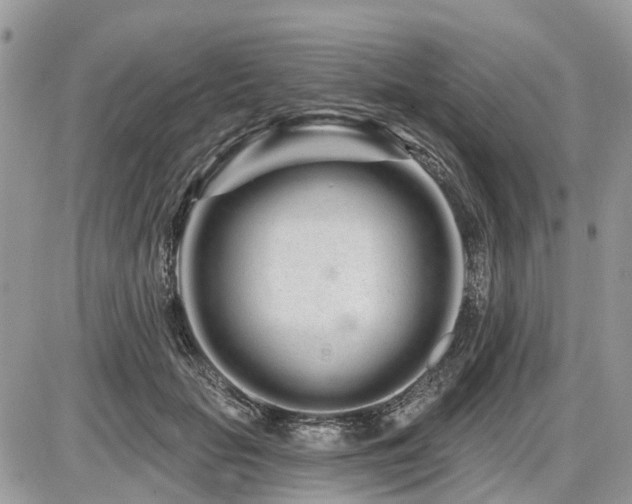 X0000086780653200704131215