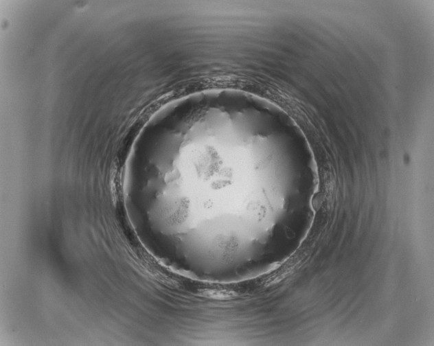 X0000086780654200704131215