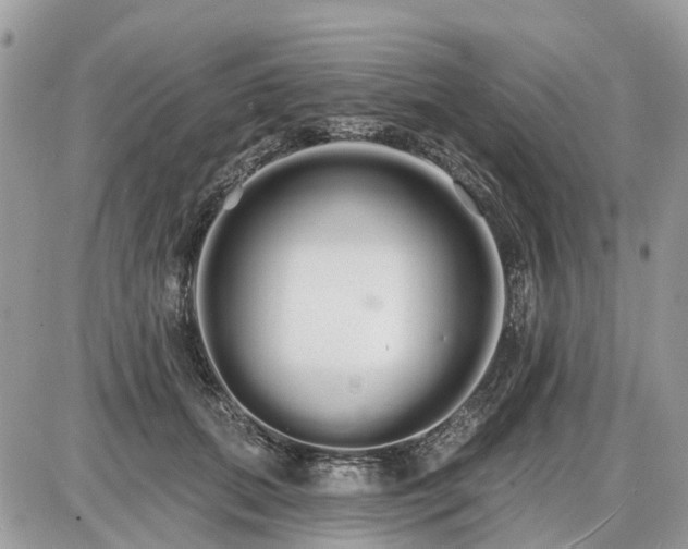 X0000086780655200704131215