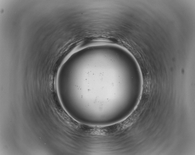 X0000086780656200704131215