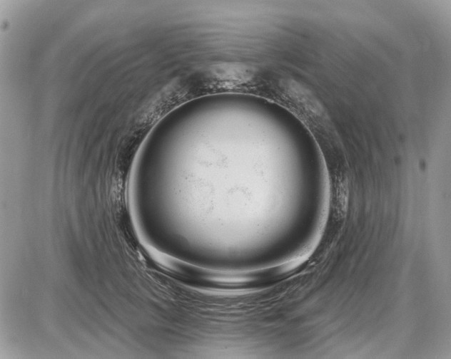 X0000086780657200704131215