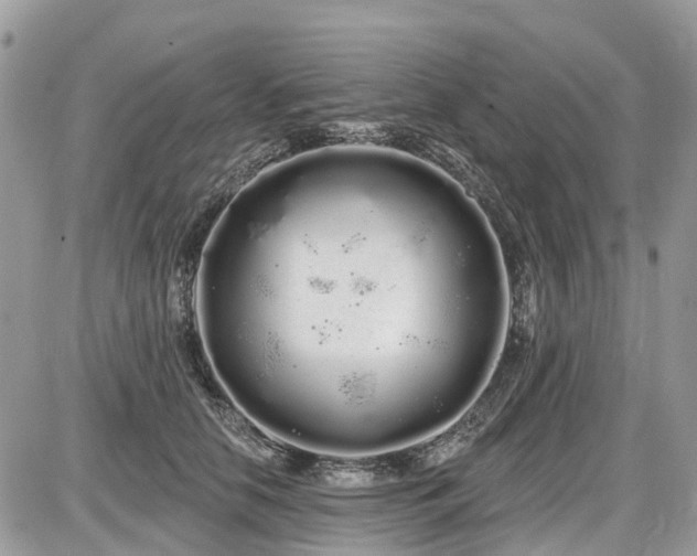 X0000086780658200704131215