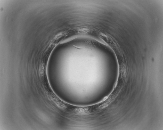 X0000086780660200704131215