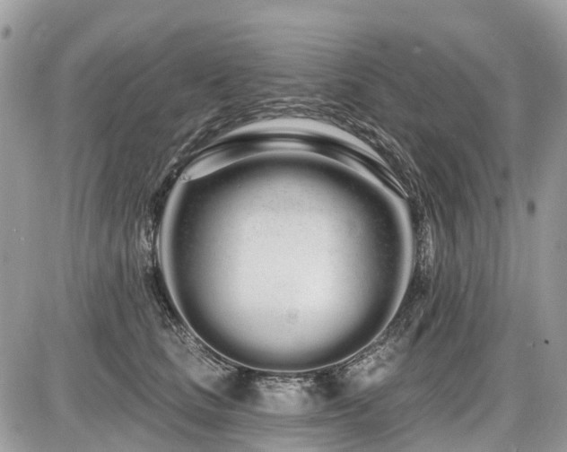 X0000086780661200704131216