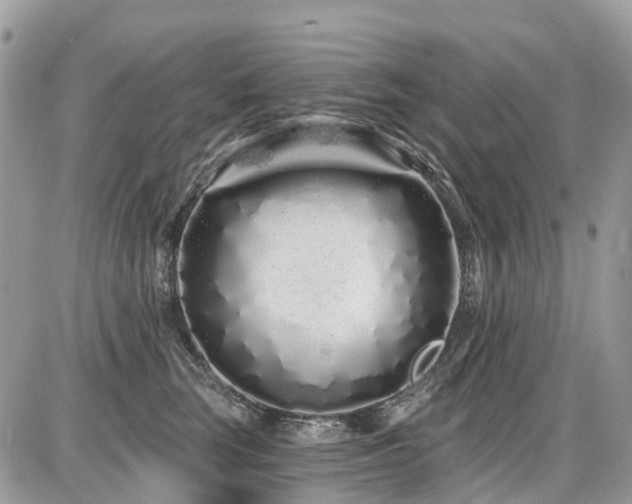 X0000086780663200704131216