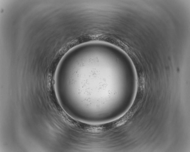 X0000086780664200704131216