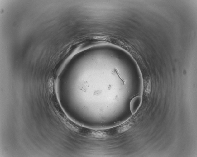 X0000086780666200704131216