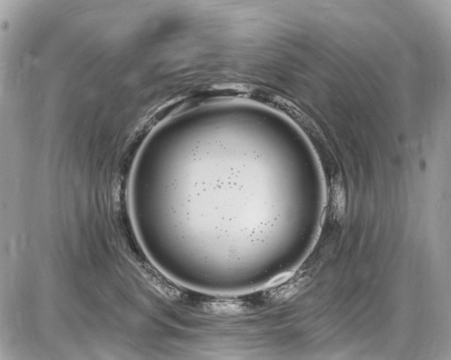 X0000086780668200704131216