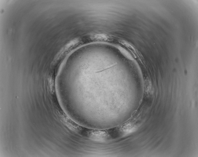 X0000086780669200704131216