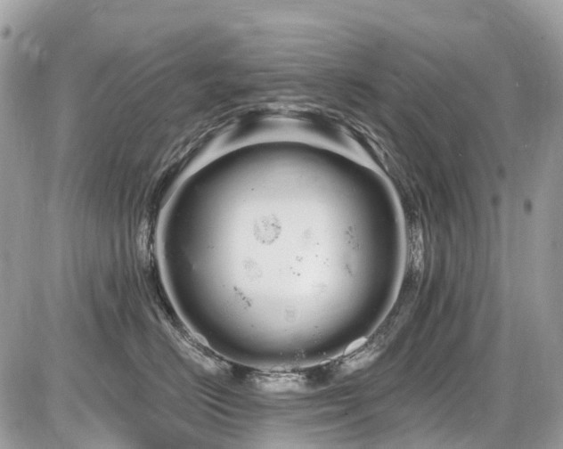 X0000086780670200704131216