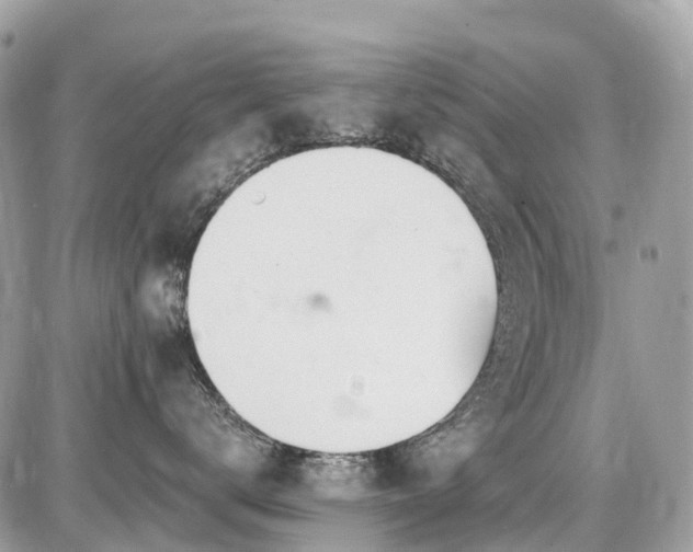 X0000086780672200704131216