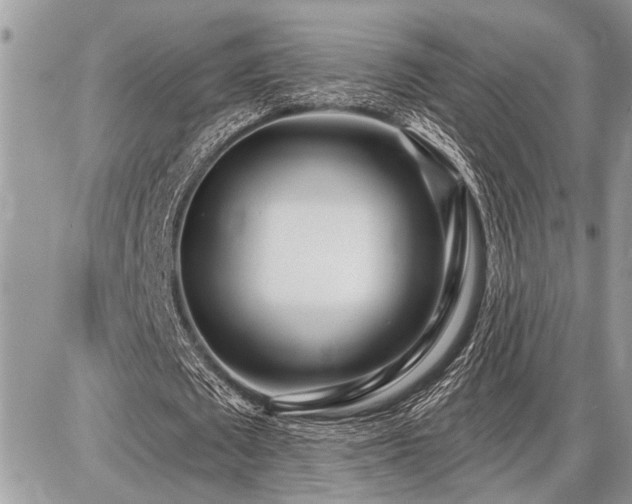 X0000086780673200704131215