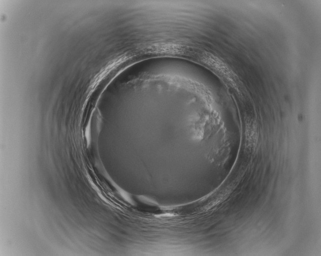 X0000086780674200704131215