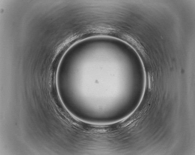 X0000086780675200704131215