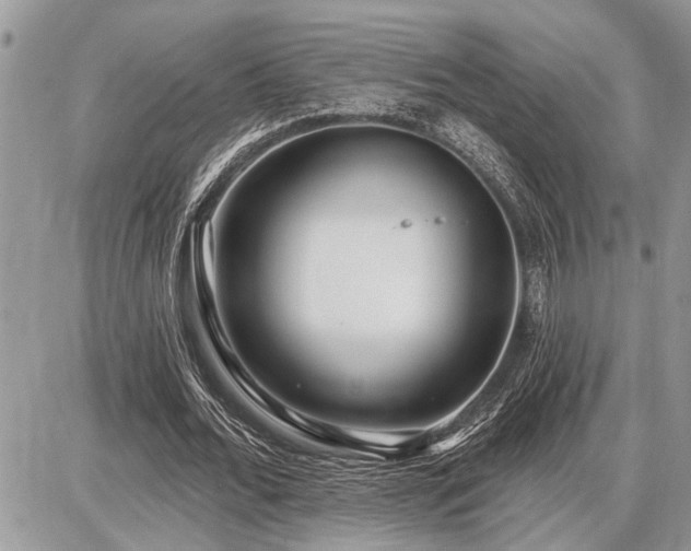 X0000086780676200704131215