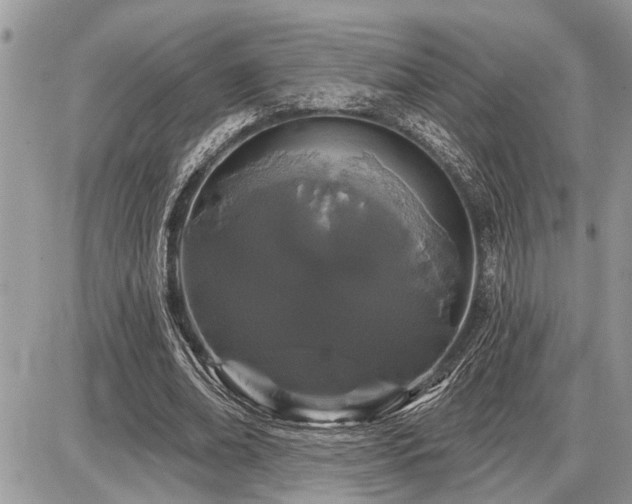 X0000086780678200704131215