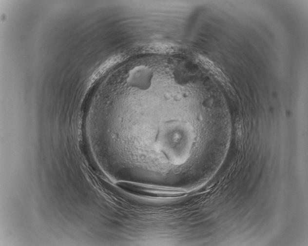 X0000086780679200704131215