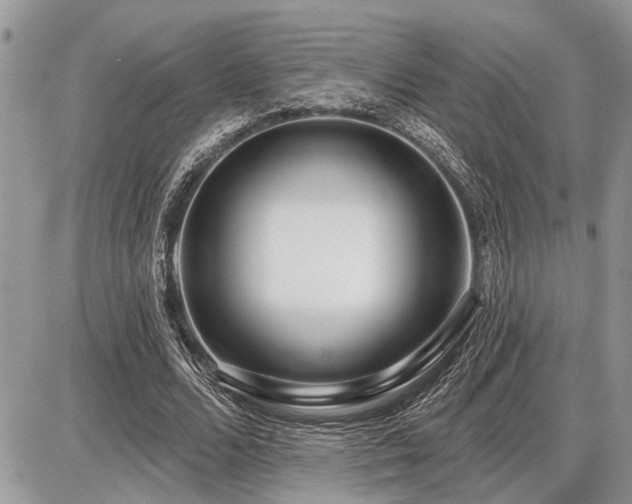 X0000086780680200704131215