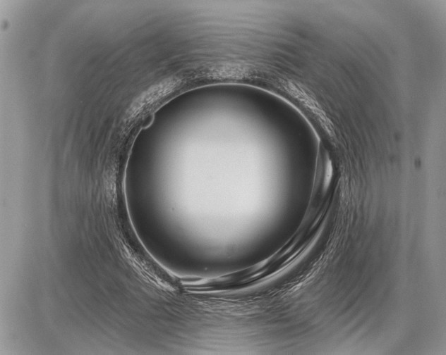 X0000086780681200704131215