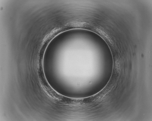 X0000086780682200704131215