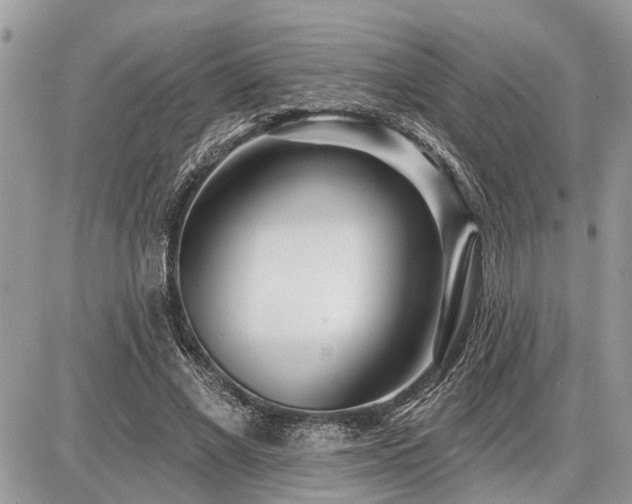 X0000086780685200704131215