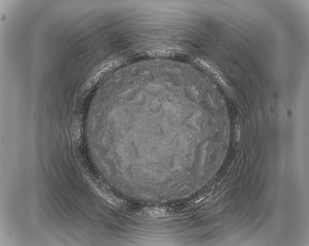 X0000086780687200704131215