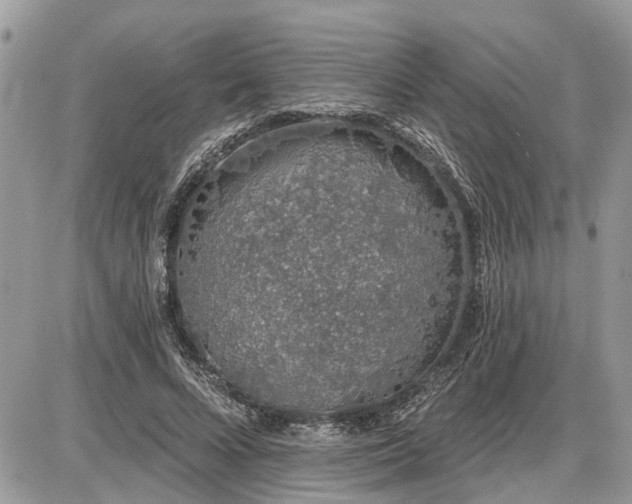 X0000086780688200704131215