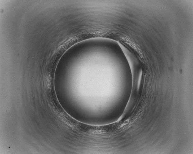 X0000086780689200704131215