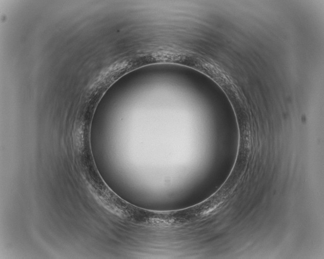 X0000086780690200704131215