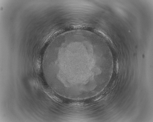 X0000086780691200704131215